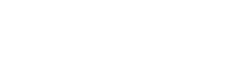 Nt Logo Stack 2 Line White