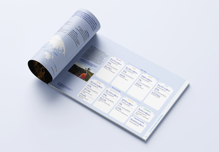Anglo Casestudy Website4