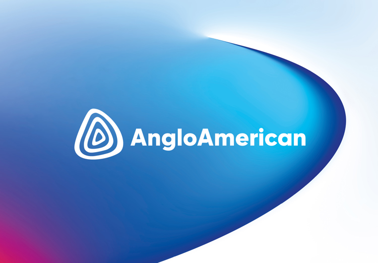 Anglo Casestudy Website