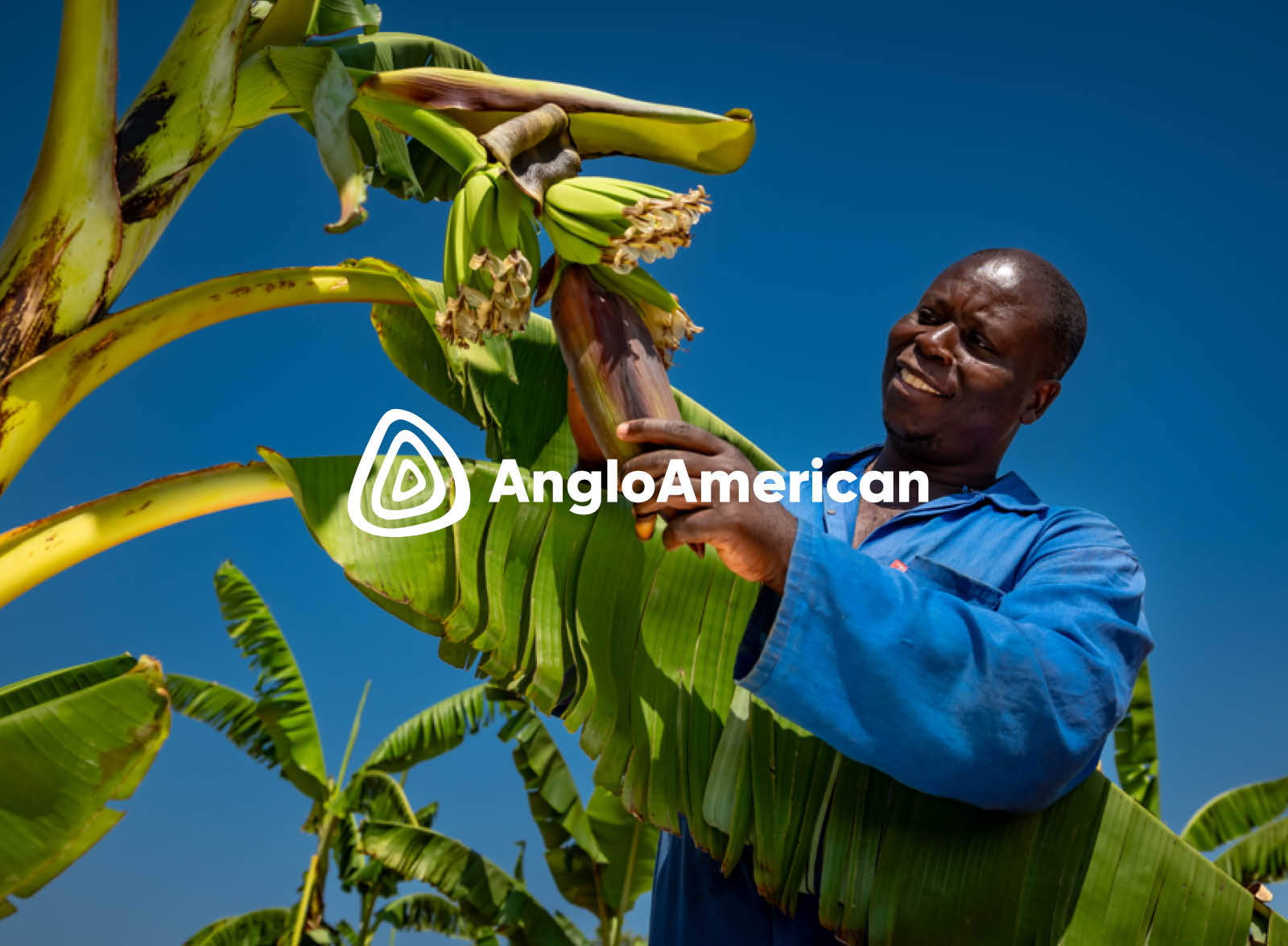 Anglo Casestudy Annual Report 2025